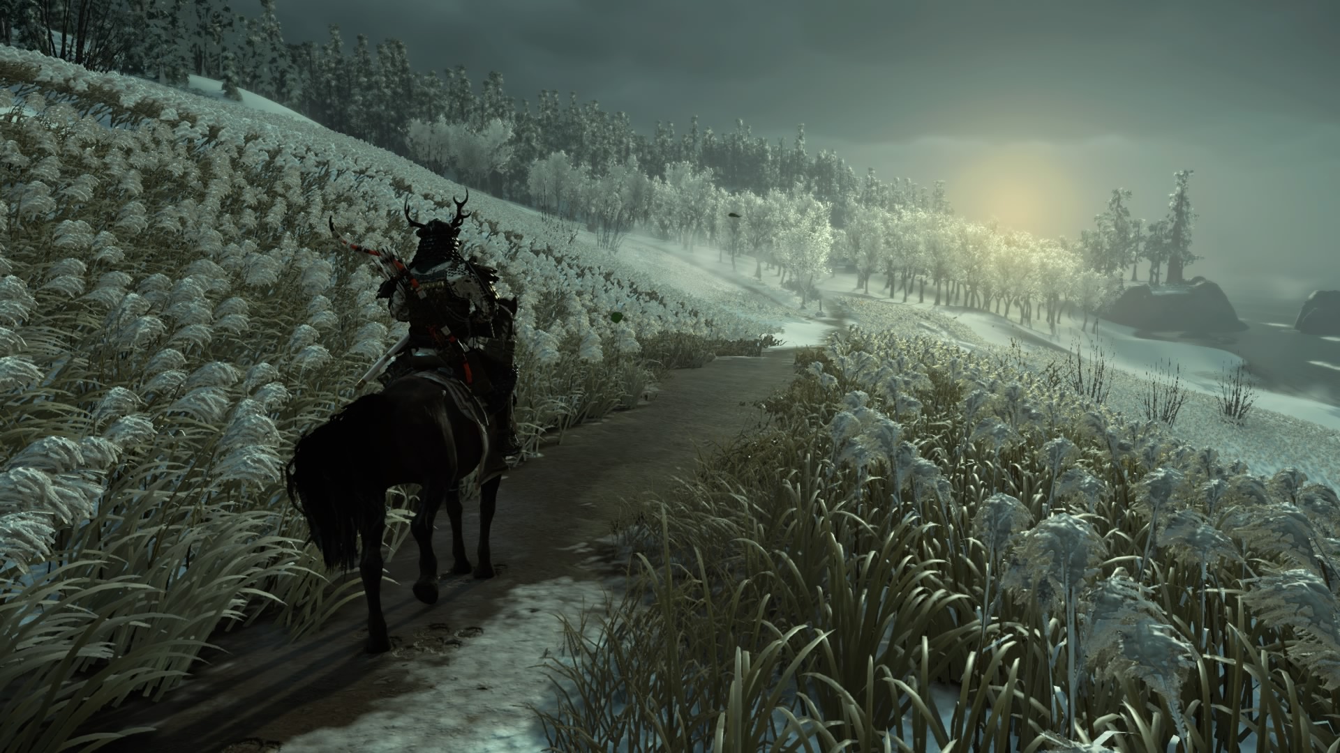 Jin sits on his horse, in my game a dappled one named Sora, looking down a snowy road toward a hazy sun, iced-over plants and flowers to either side, iced-over trees ahead.